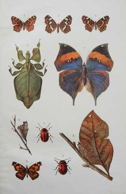 Итоги науки в теории и практике. В 12 т. Т. 1-3, 5, 6. М., 1911-1915.